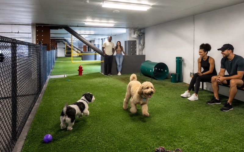 Residents with dogs in the indoor pet exercise area at 225 N Calvert apartments in Downtown Baltimore