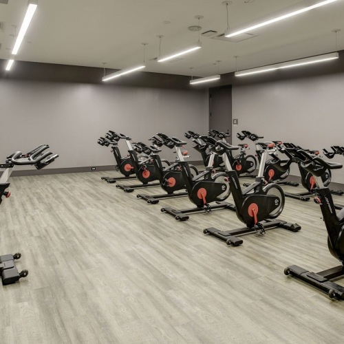 Large fitness center with cardio and weight lifting equipment.